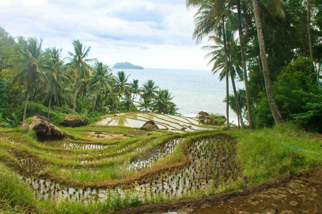 East Java tourism