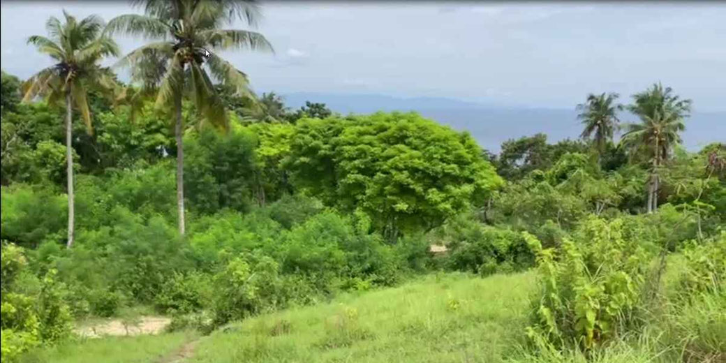 South Sumba land for sale