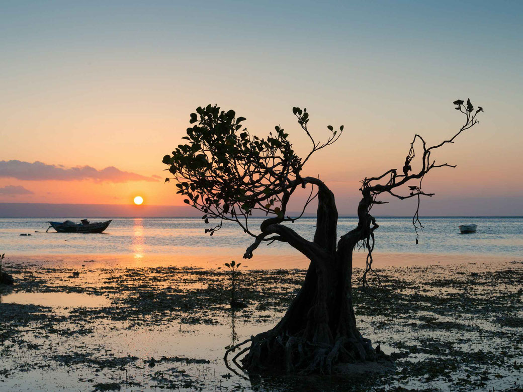Sumba real estate for sale
