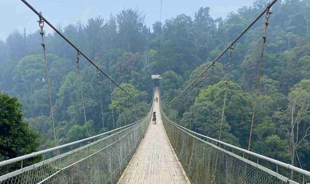 Situ Gunung Suspension Bridge