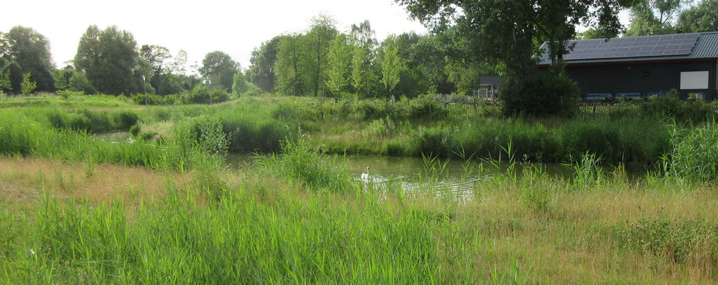 Waterarm met hoofdgebouw Jeugdland