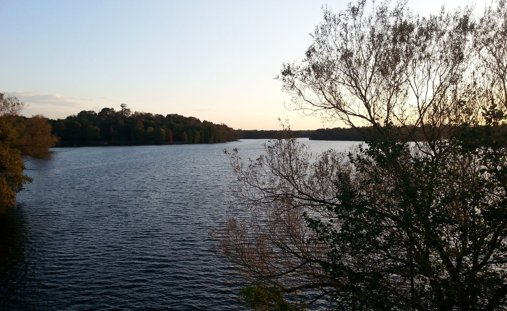 Ein Blick auf die Duisburger Seenplatte im Sonnenuntergang