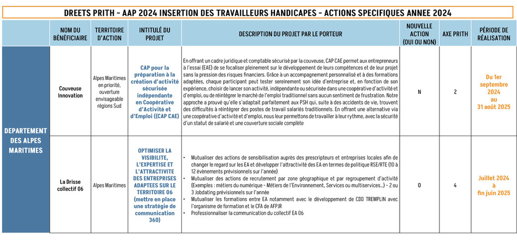 Tableau d'appel à projet 2023 décrivant le projet de chaque porteur dans le département des Alpes Maritimes - Couveuse Innovation et PITHAM et DAHLIR