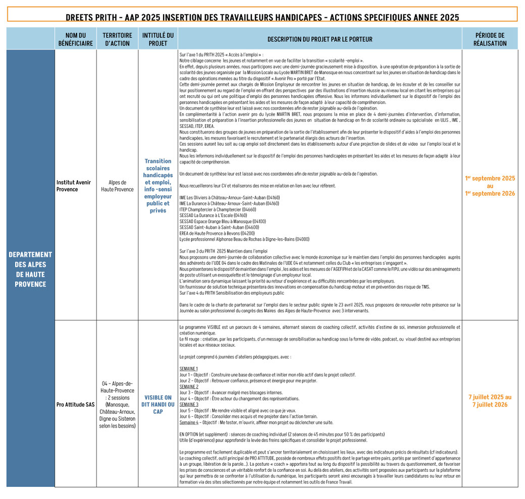 Tableau d'appel à projet 2023 décrivant le projet de chaque porteur dans le département des Alpes de Haute Provence - Institut Avenir Provence et Pro Attitude SAS