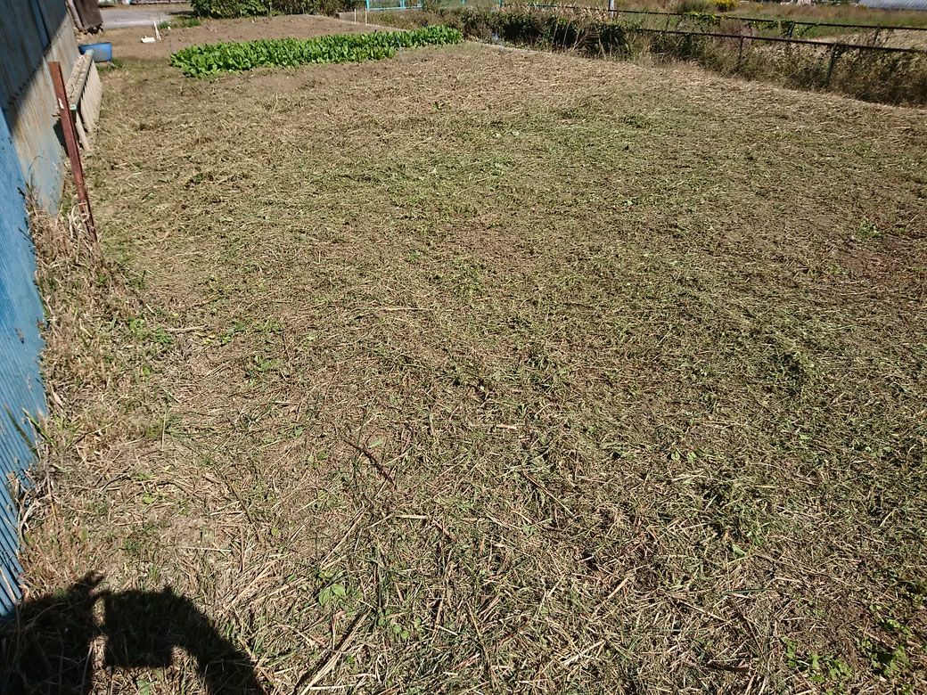高森町　草刈り20181021A