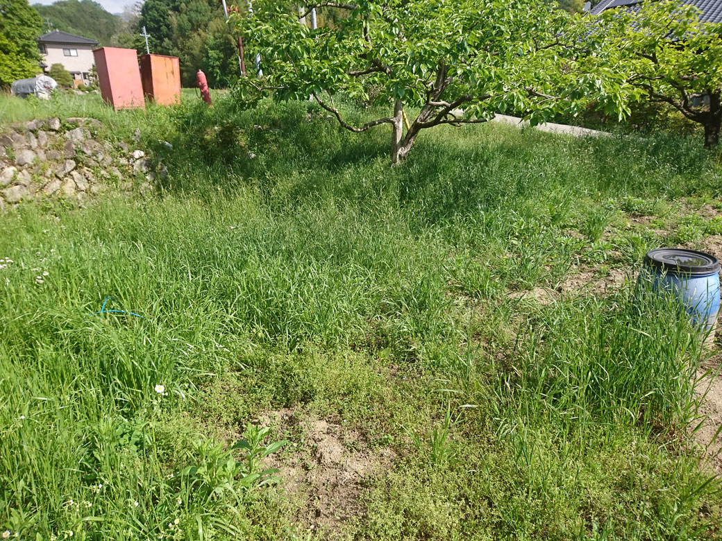 20190518高森町草刈りＢ