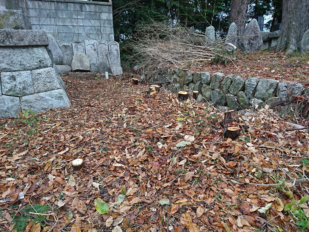 飯田市　伐採20181202A