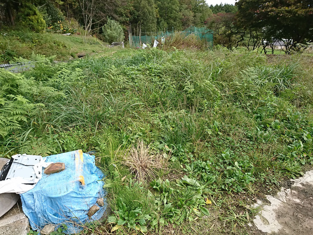 飯田市　草刈り20181012-2B