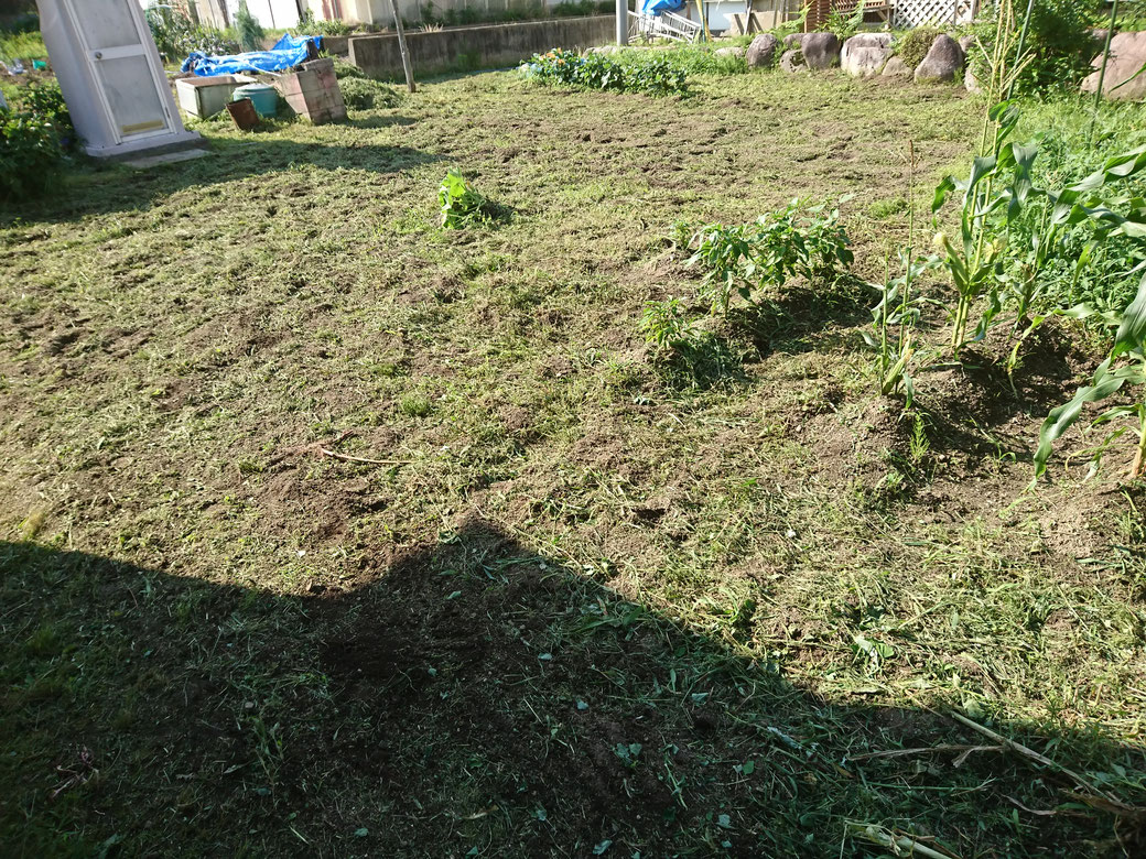 松川町草刈り20190723Ａ
