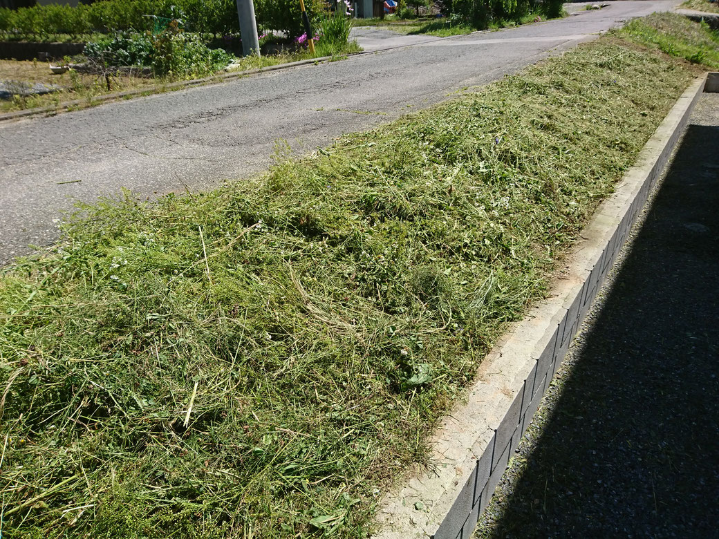 喬木村草刈り20190625Ａ
