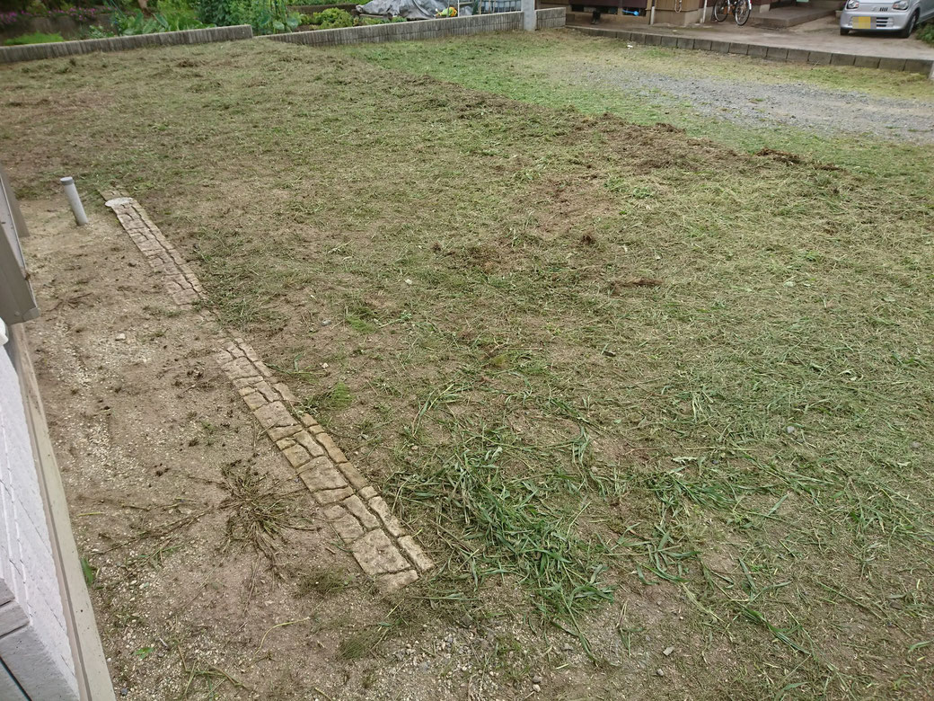 松川町草刈り20190718Ａ