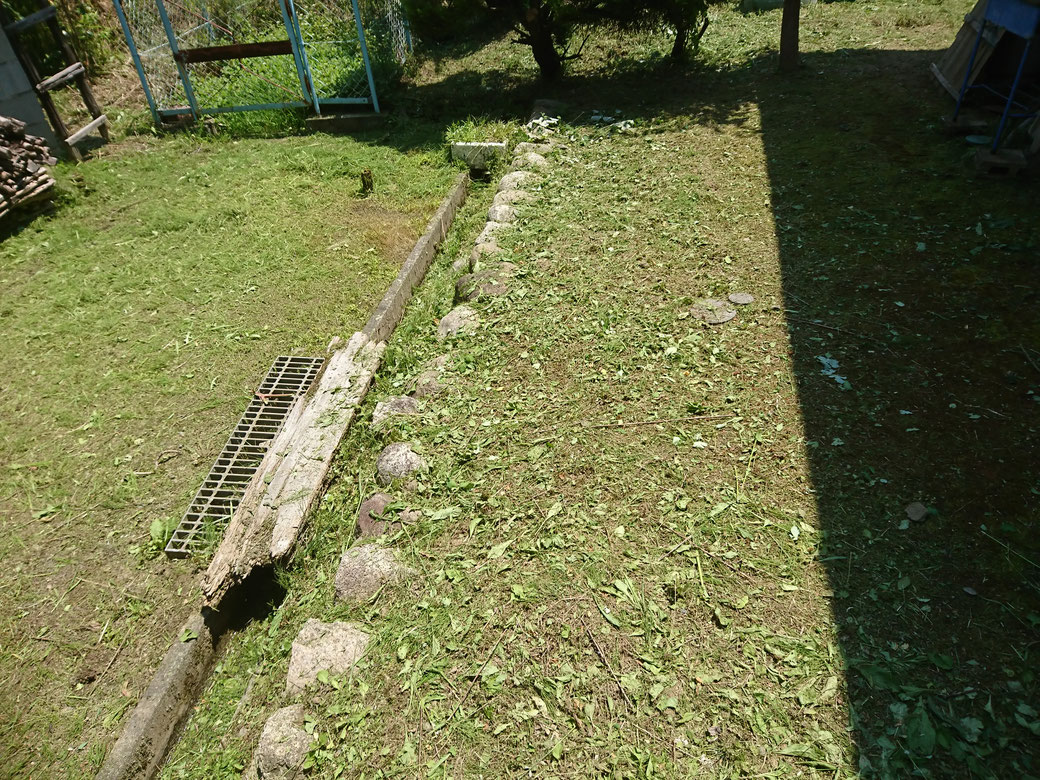 飯田市草刈り20190801Ａ