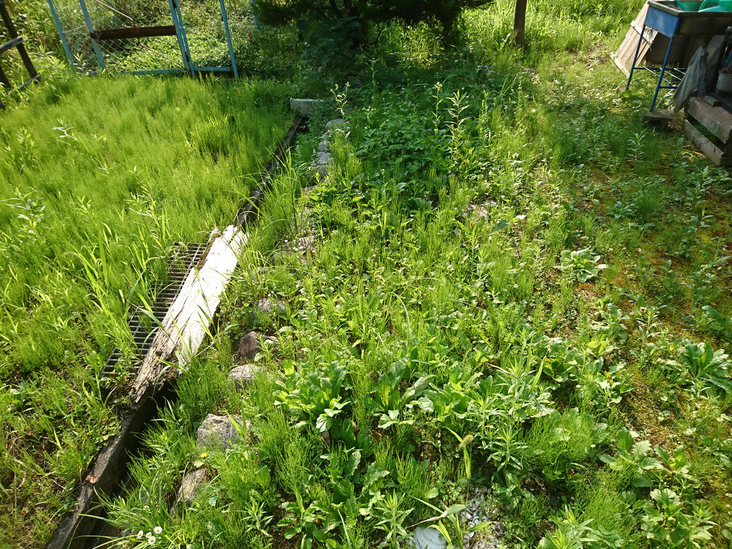 飯田市草刈り20190801Ｂ