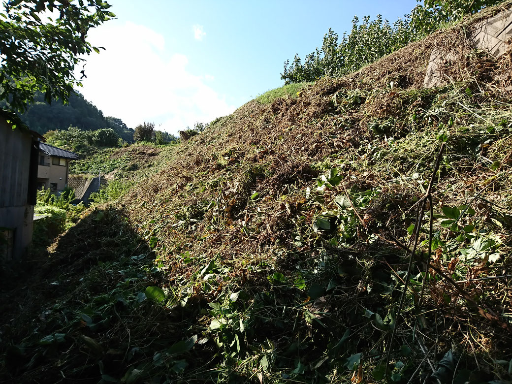 高森町　草刈り20180919A