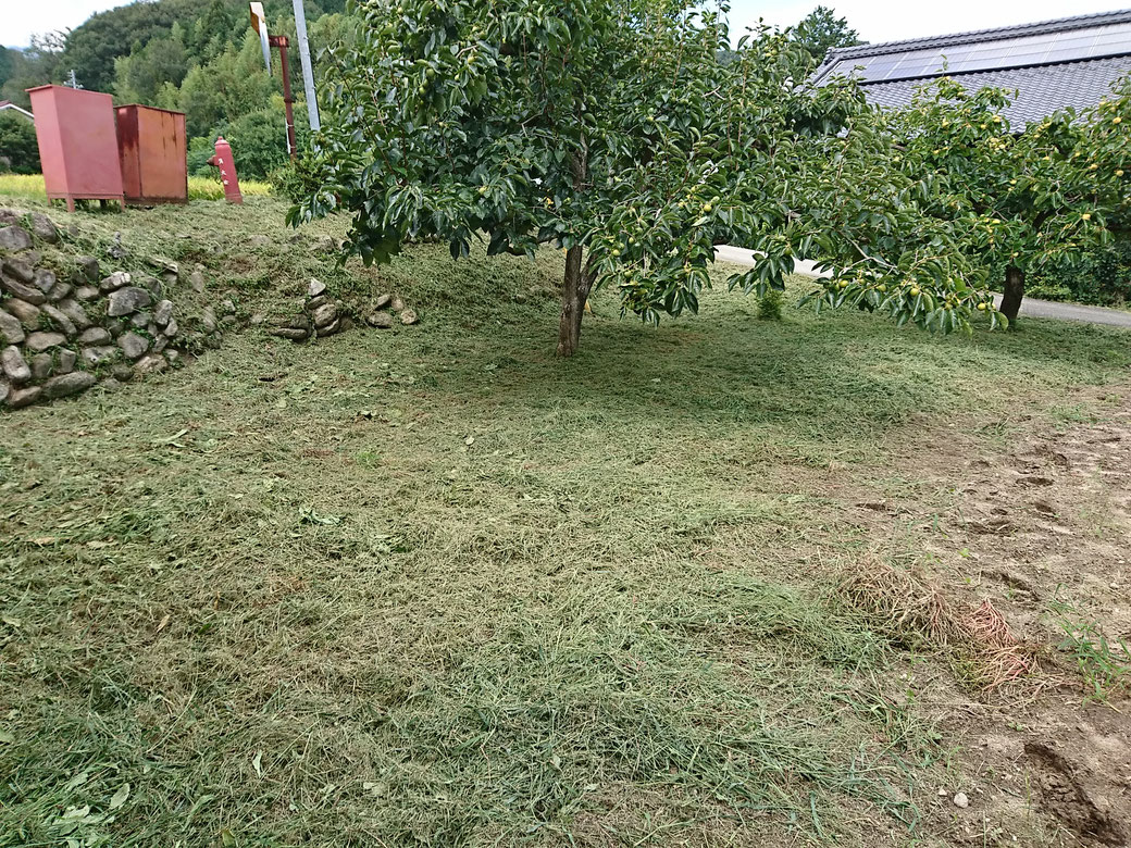 高森町　草刈り20180906A