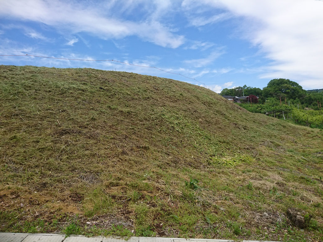 20190522高森町草刈りＡ
