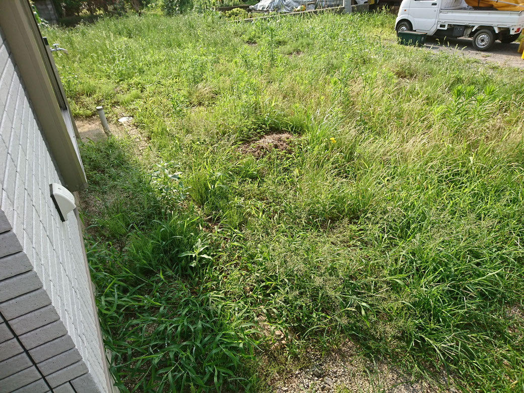 松川町草刈り20190718Ｂ