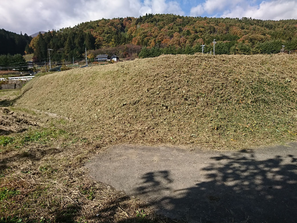 高森町　草刈り20181111A