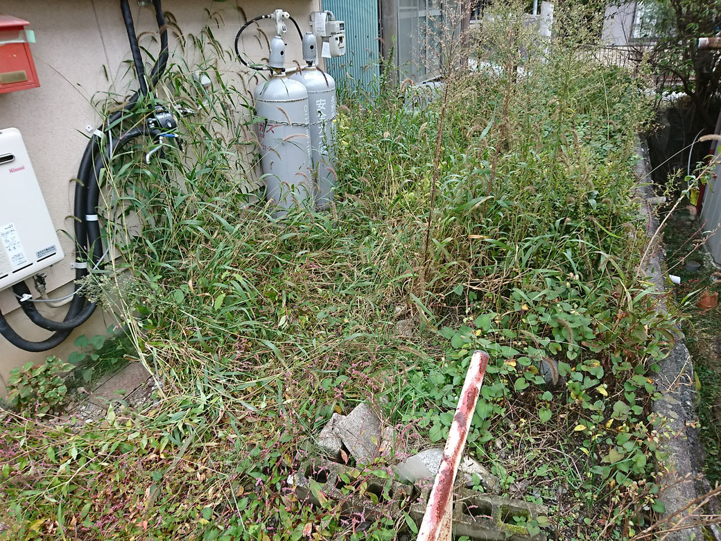 飯田市　草刈り20181012-1B