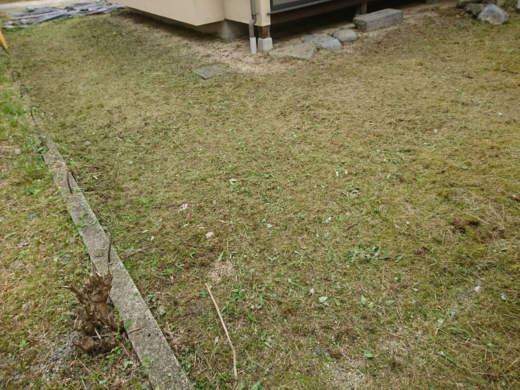 飯田市草刈り20190713Ａ