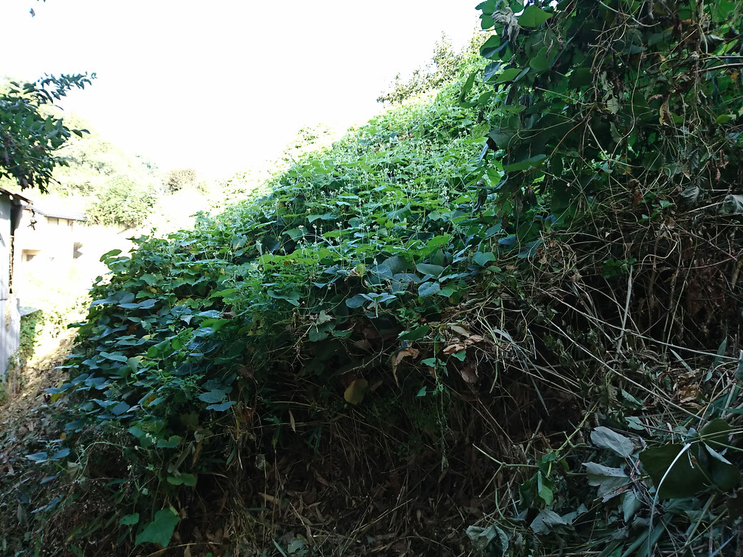 高森町　草刈り20180919B