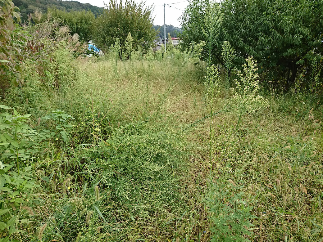 高森町　草刈り20180913B