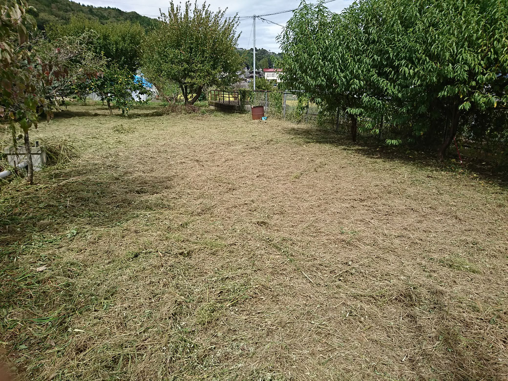 高森町　草刈り20180913A