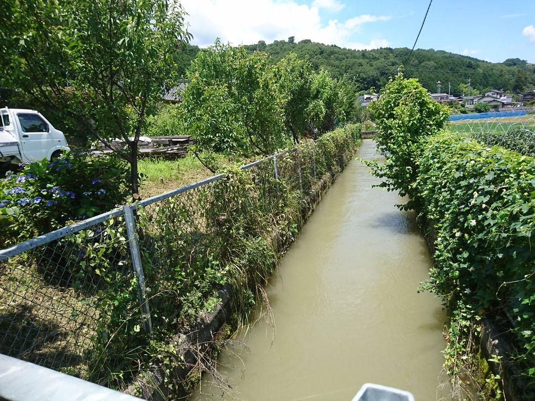 高森町伐採20190710Ａ
