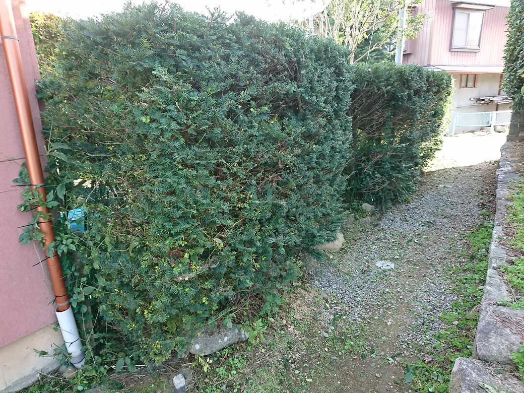 松川町　便利屋っぽい20181013A