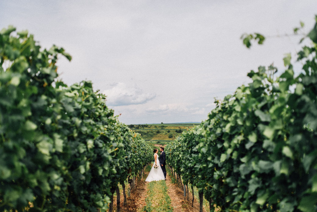 Hochzeitfotograf in Freiburg Tomo Takemura, Weingut Köbelin