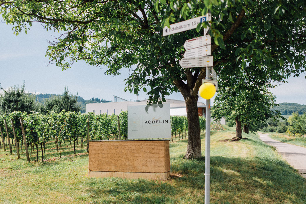 Hochzeitfotograf in Freiburg Tomo Takemura, Weingut Köbelin