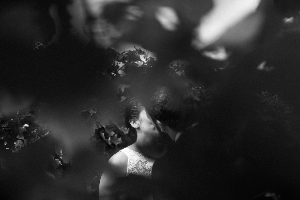 Hochzeitfotograf in Freiburg Tomo Takemura, Weingut Köbelin
