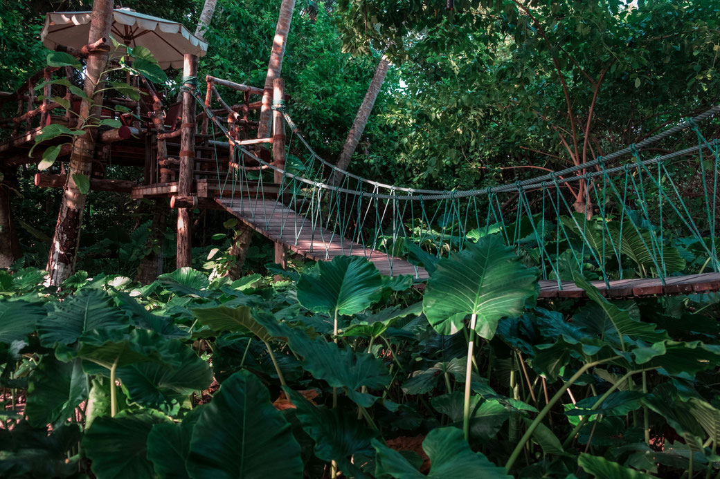 Une nuit de noces dans une cabane dans les arbres - Magazine Un Jour Un Oui - Crédit photo : Tous droits réservés