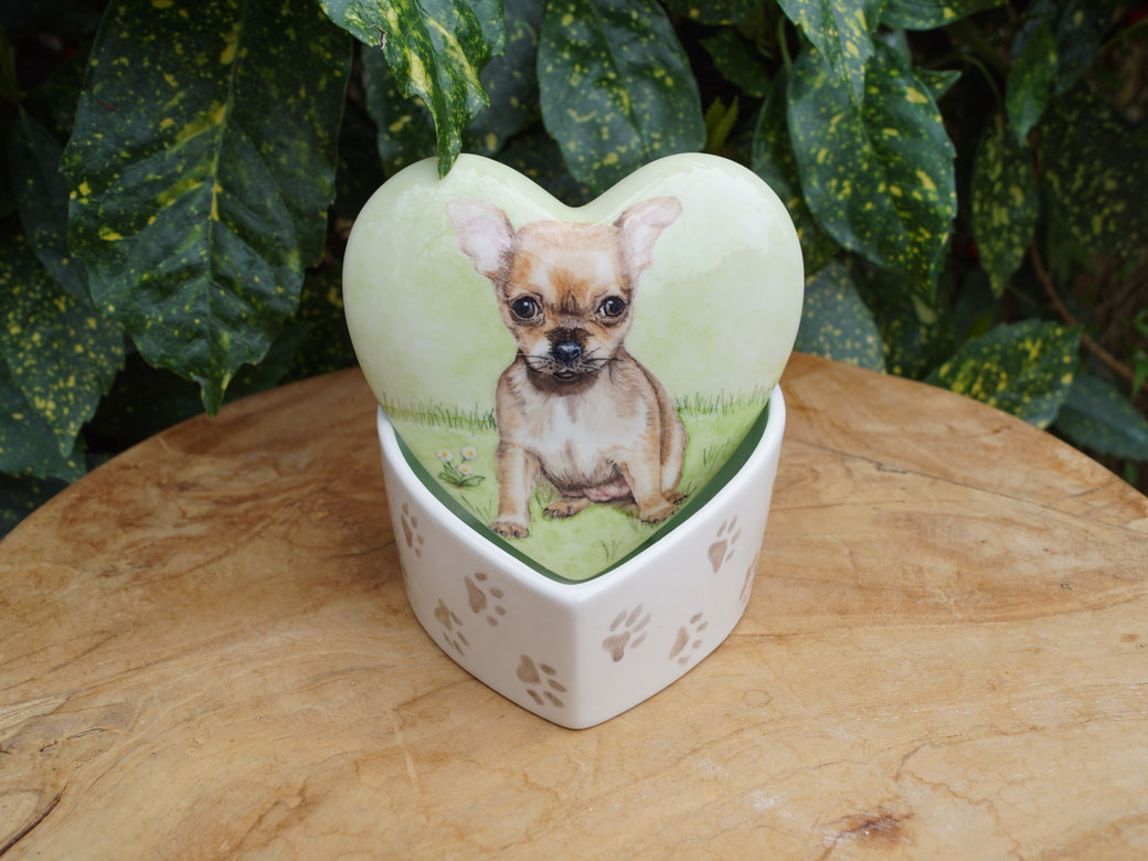 persoonlijke-urn-hond-hart-persoonlijke-urn-chihuahua-persoonlijke-urn-laten-maken-persoonlijke-dierenurn-chihuahua-handbeschilderde-dieren-urn-laten-maken-maatwerk-urn-maatwerk-urnen-voor-honden-urnen-voor-honden-urn-bijzondere-urnen-voor-huisdieren-urn 