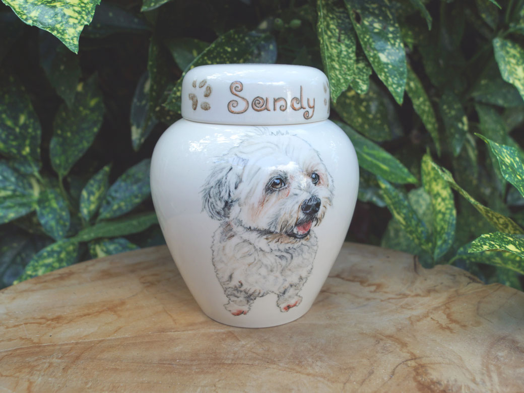 unieke-handgeschilderde-urnen-voor-honden-hondenurn-handgemaakt-speciale-dierenurnen-gepersonaliseerde-urn-met-portret-urn-laten-maken-phebe-portret-urnen-troosturn-troost-urntje-urn-zelfgemaakt-maatwerk-urn-maatwerk-urnen-hondenurn-met-naam-laten-maken