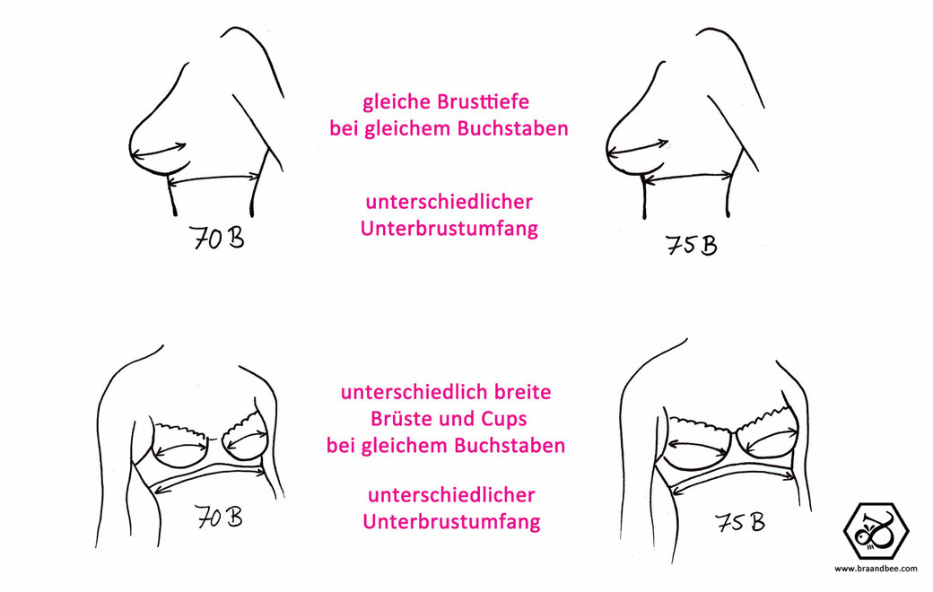 Groß 85d wie ist körbchengröße BH