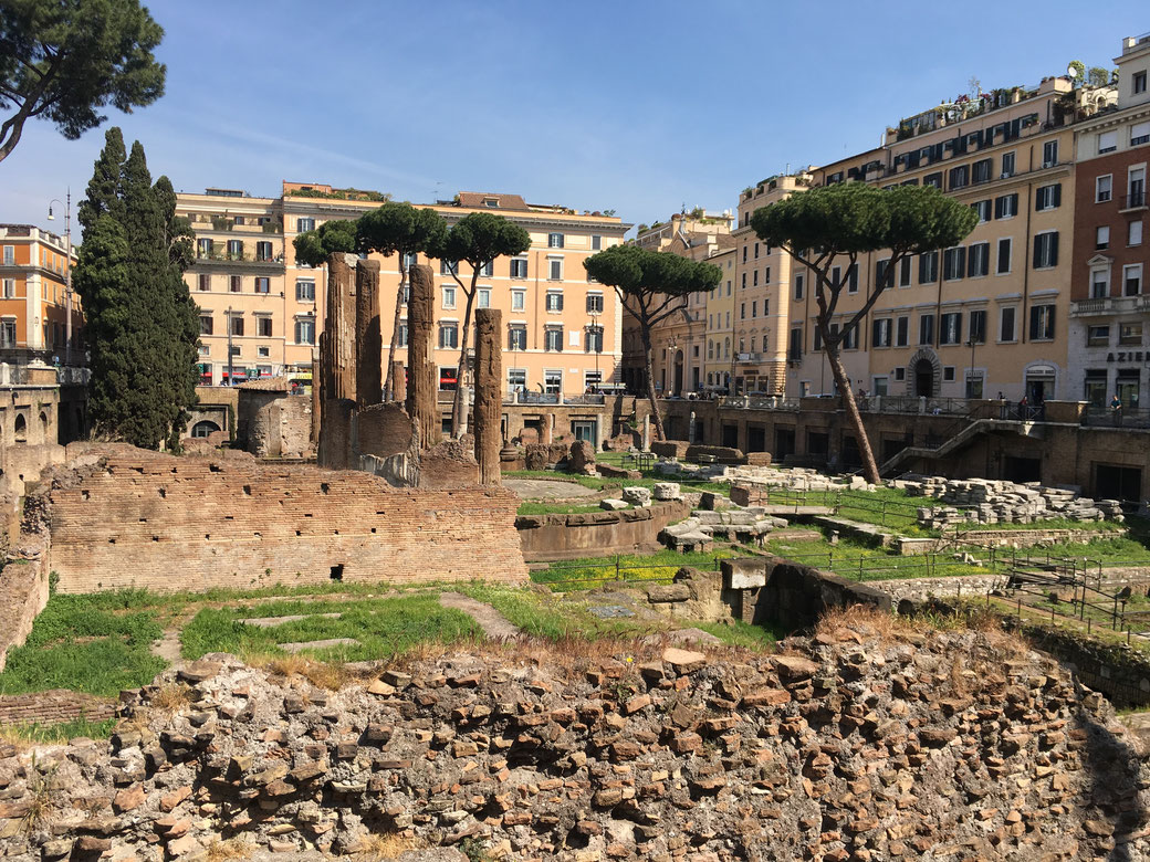 Auf dem Largo di Torre Argentina leben die wilden Katzen auf einer antiken Ausgrabungsstätte. 