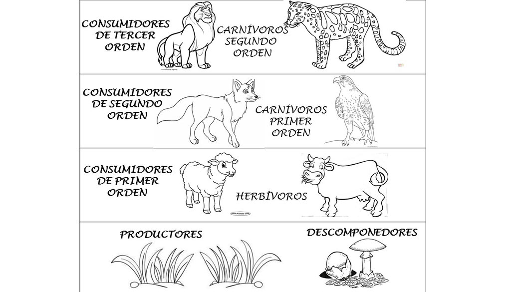 Semana 3 Página web de nevifulowu