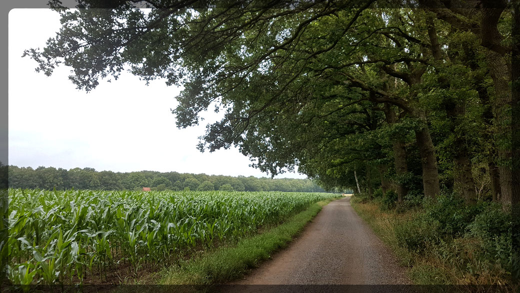 Stille Landschaften 1