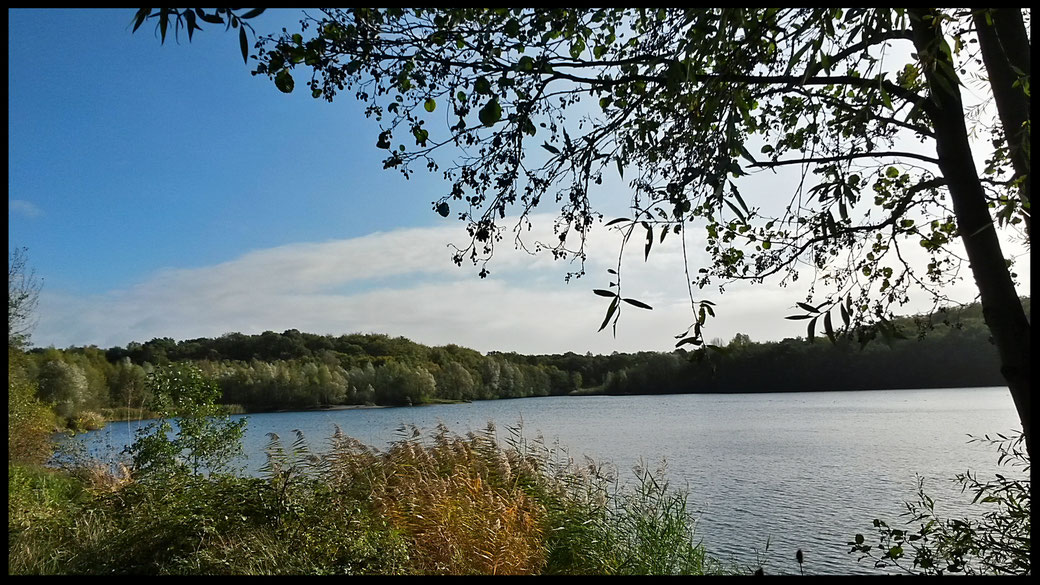 Herbstliche Stimmung am Waldsee