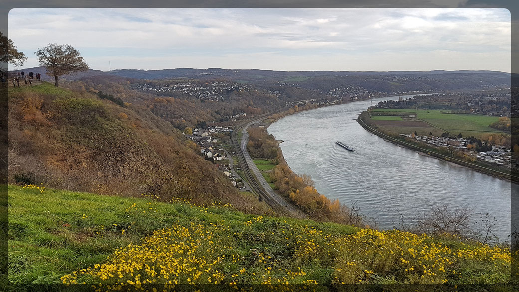 Erpeler Ley, Blick ins Rheintal