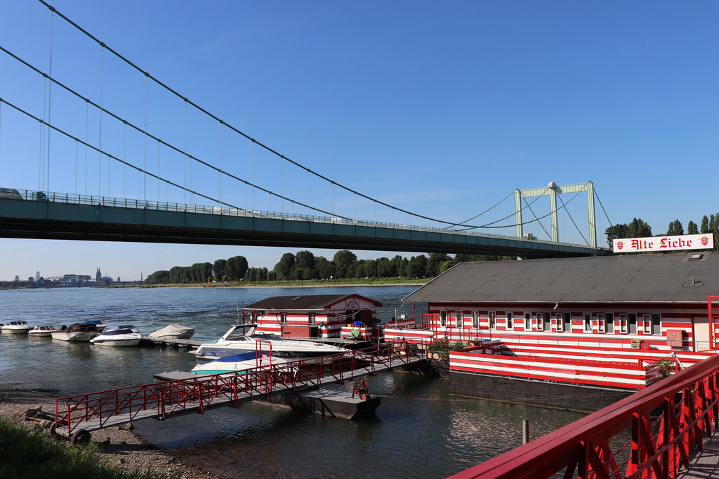 Gastro-Schiff "Alte Liebe" mit Blick auf Kölle