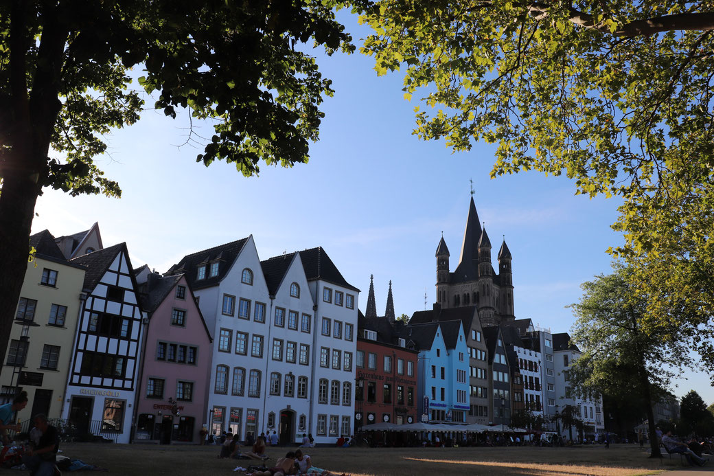 Altstadt Köln vom Rheinpark aus gesehen