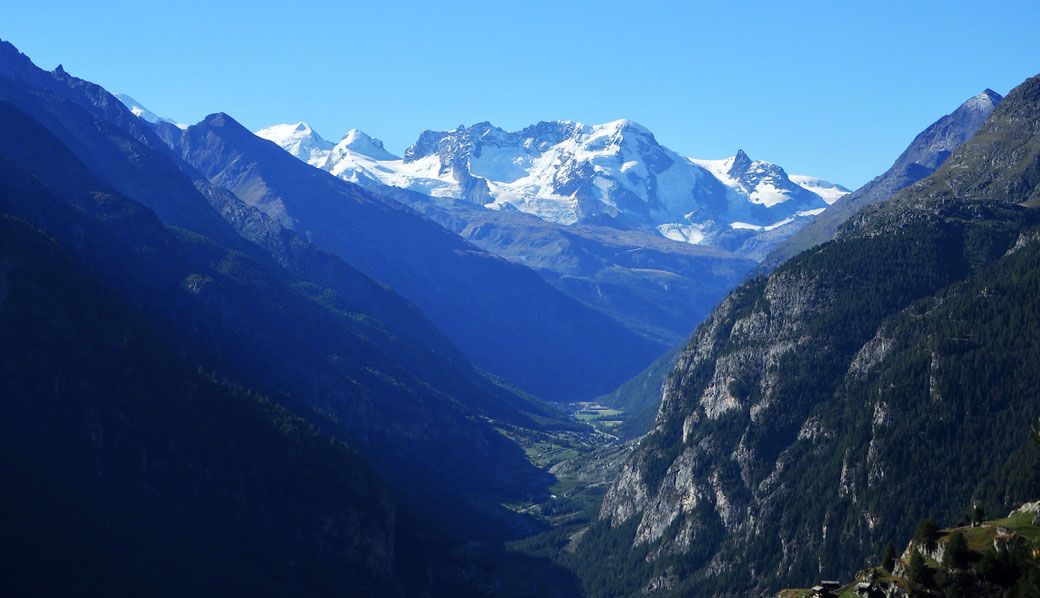 Blick von Jungualp ins Mattertal. In der Mitte Breithorn, rechts kl. Matterhorn