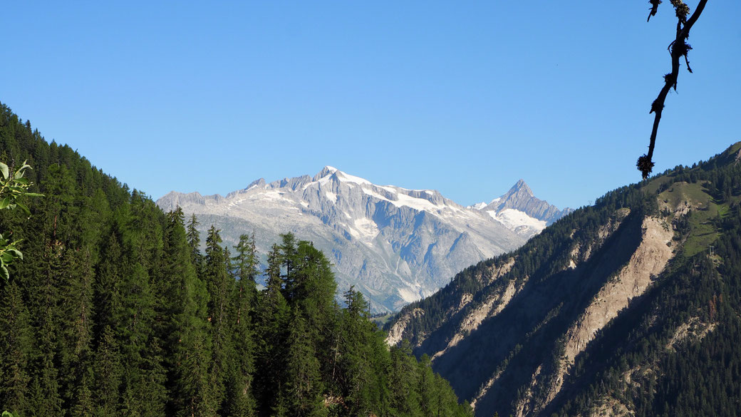 Blick zurück zum Aletschhorn