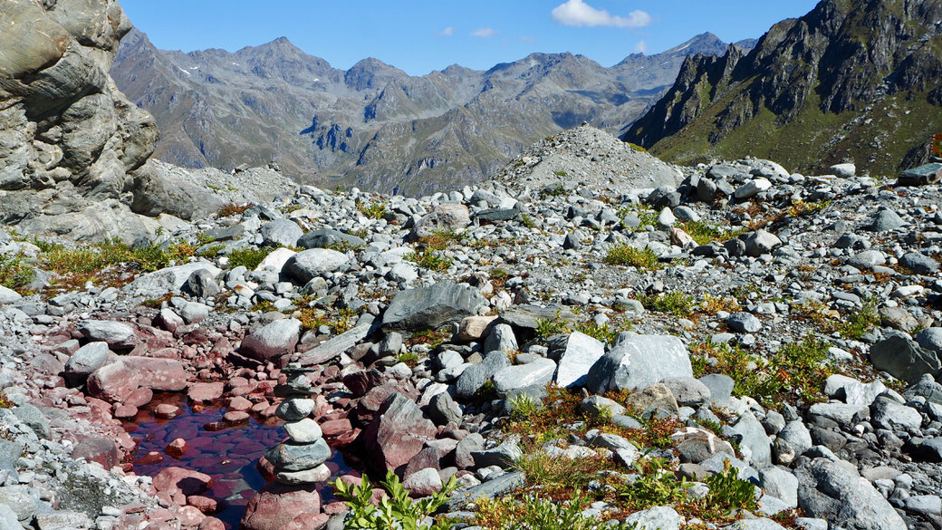 Farbenvielfalt im Niemandsland