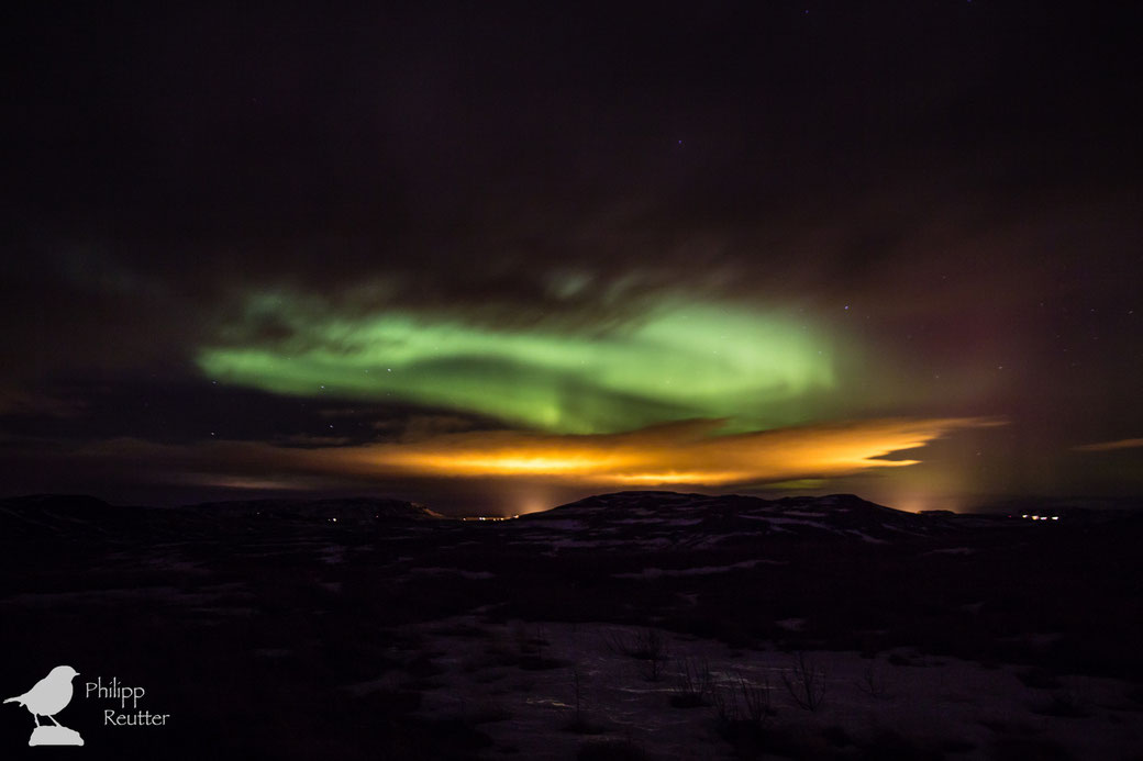 Nordlicht in Island