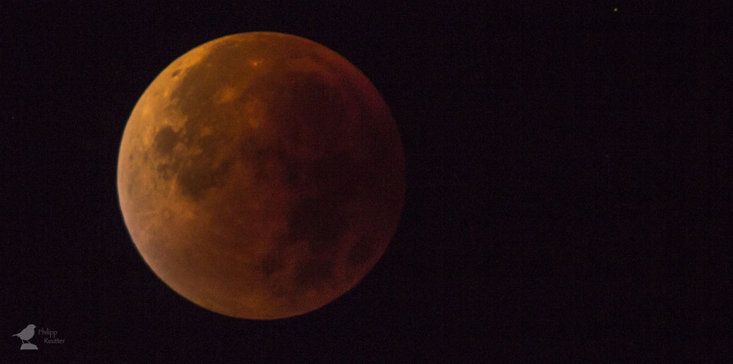 Blutmond über Mainz am 28. September 2015