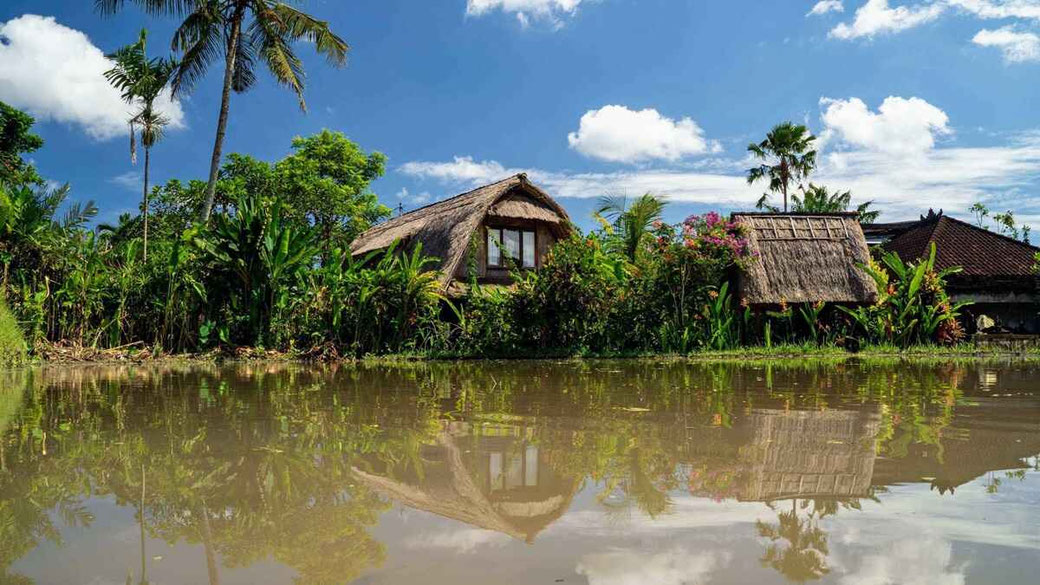 Ubud Villa zu verkaufen
