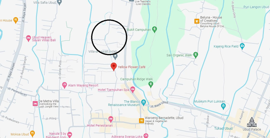 Ubud property for sale